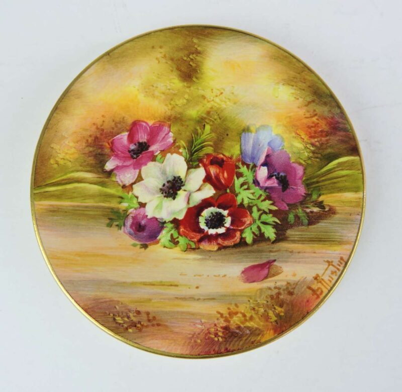 cupsaucerflower-0002