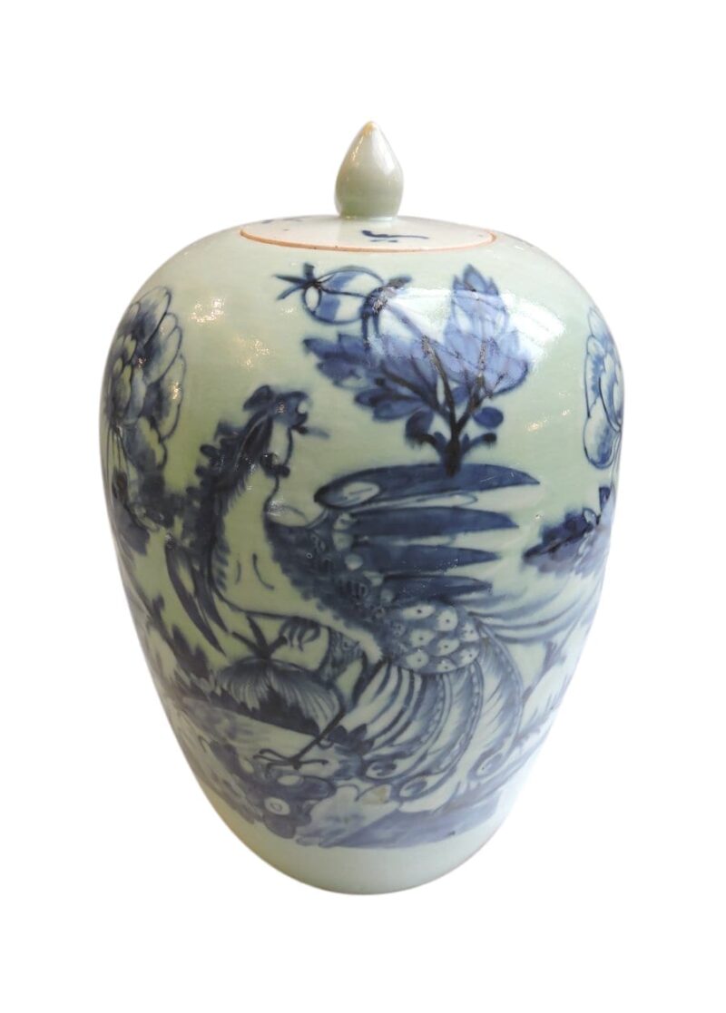 asian - chinesegingerjar-00-1.jpg