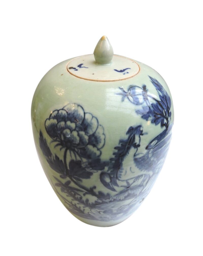 asian - chinesegingerjar-01-1.jpg
