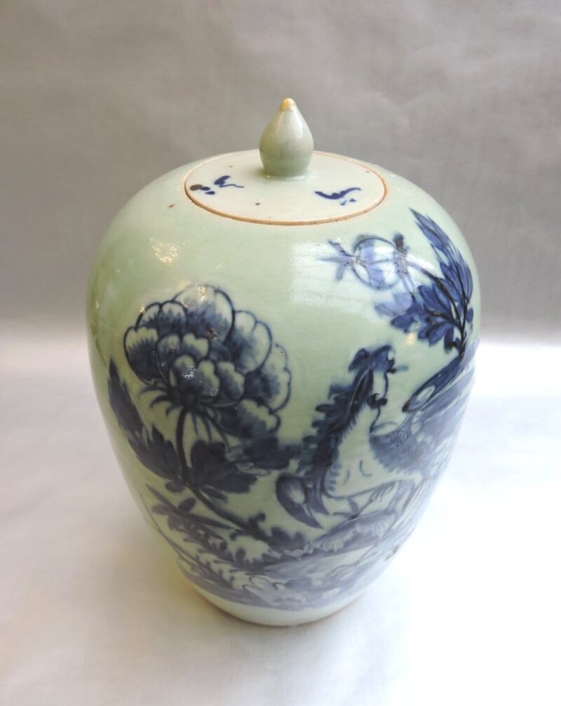 asian - chinesegingerjar-01.jpg