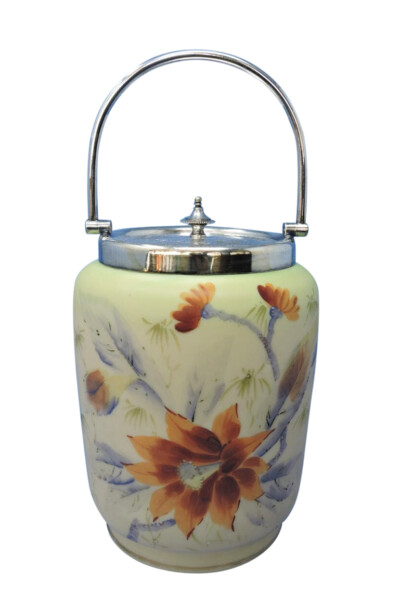 bristol glass hand painted biscuit barrel