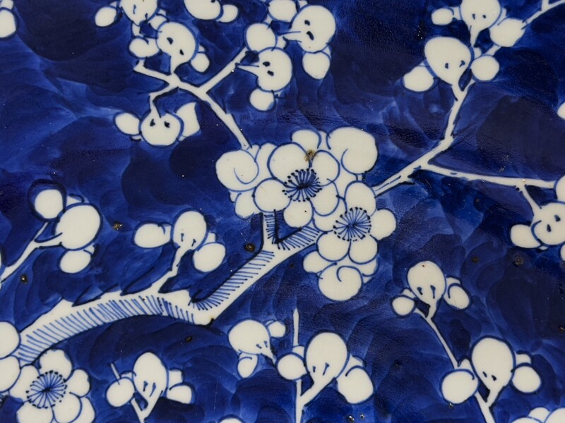 chinesechargersIMG_1664