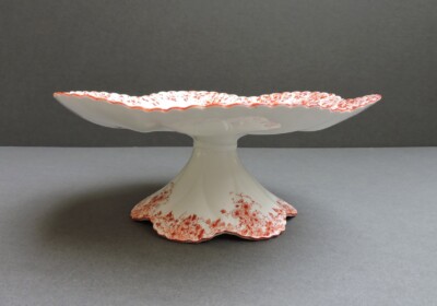 shelley china - dainty orange