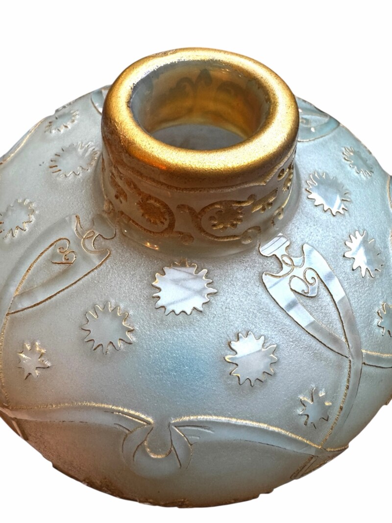 daumchrysanthemum-007