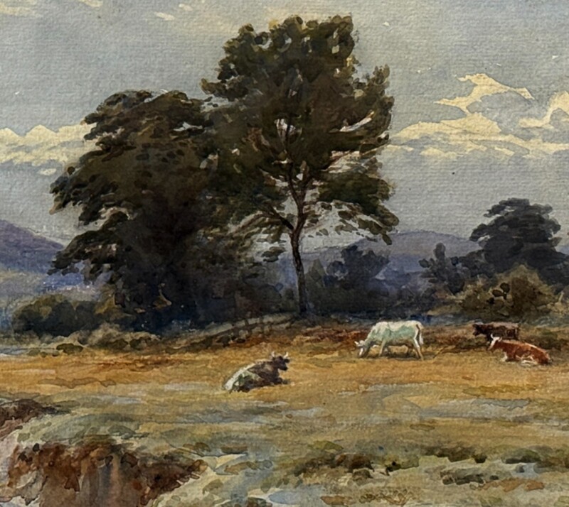 knowlesPhotoroom_20250806_145711