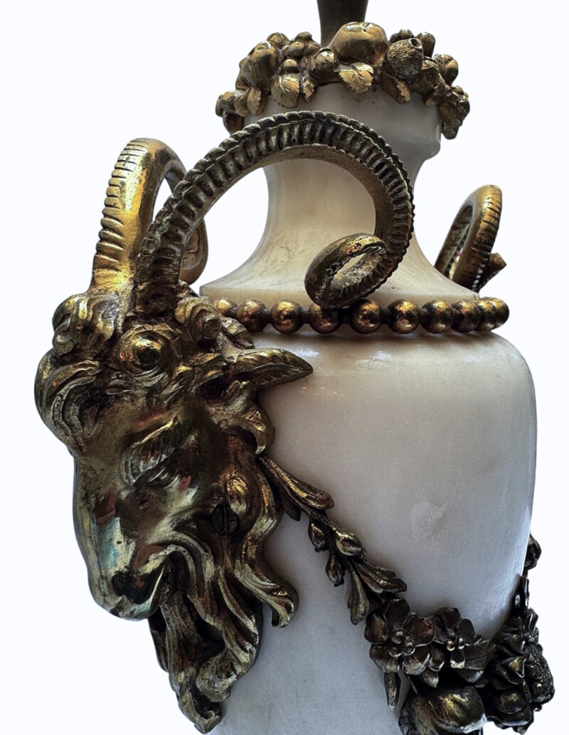 mlPhotoroom_20260219_161421 2