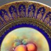 Paragon hand painted Fruit Still Life plates