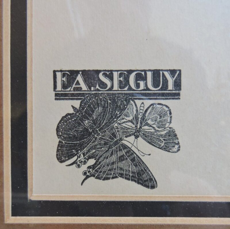 seguypapillonpictures-02