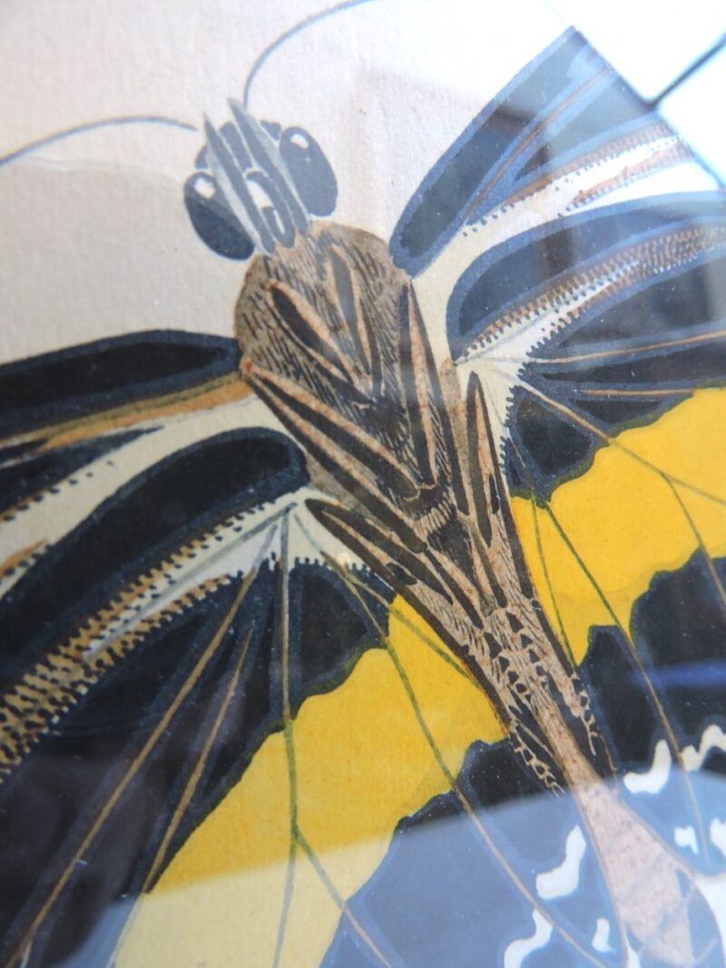 seguypapillonpictures-03