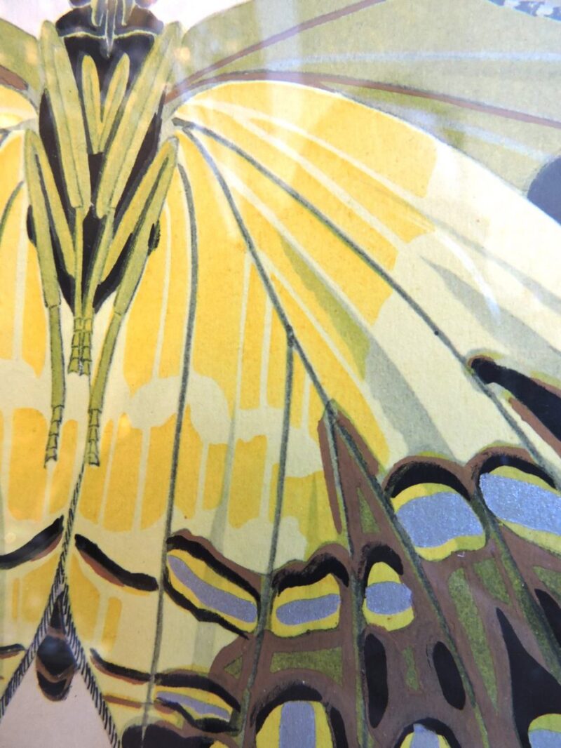 seguypapillonpictures-07