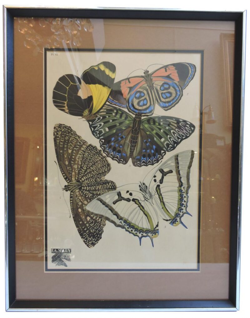 seguypapillonpictures-11