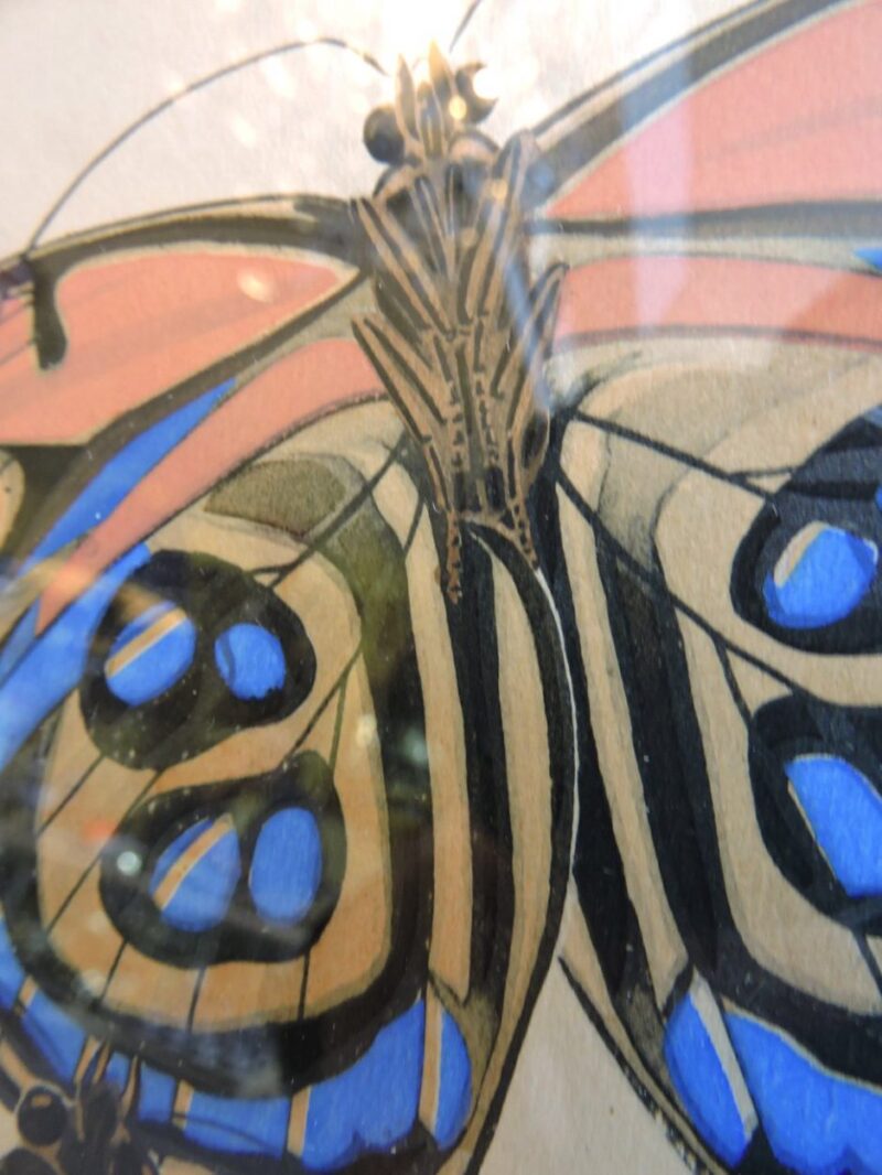 seguypapillonpictures-13