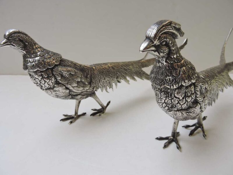 silver - pairsilverpheasants-03.jpg