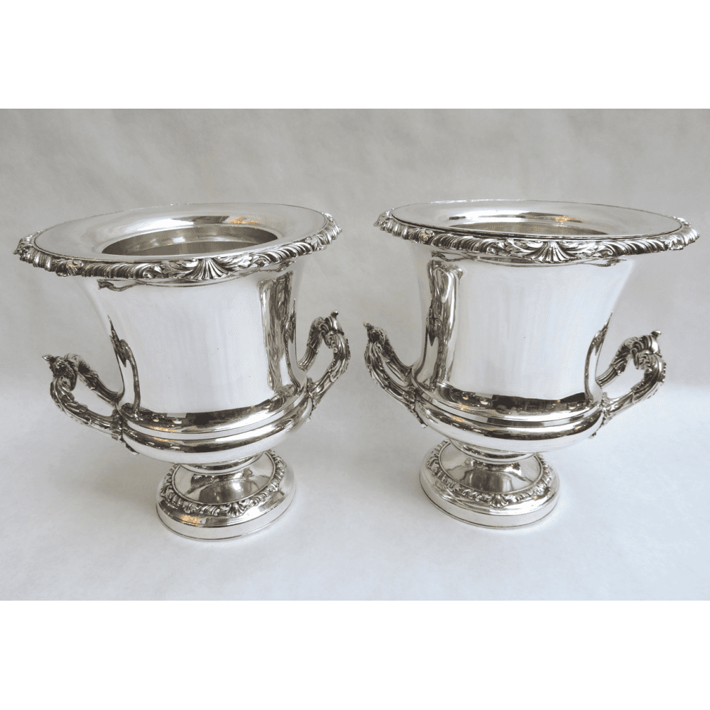 Buy amoxicillin for cats online